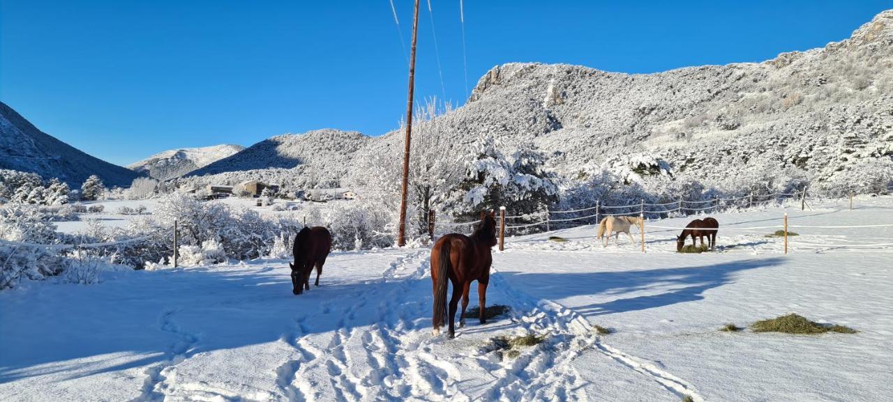 فيلا Haras De Séranon المظهر الخارجي الصورة